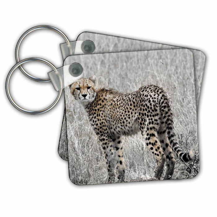 Key Chain - Cheetah in grass, black and white, cheetah in color Tanzania