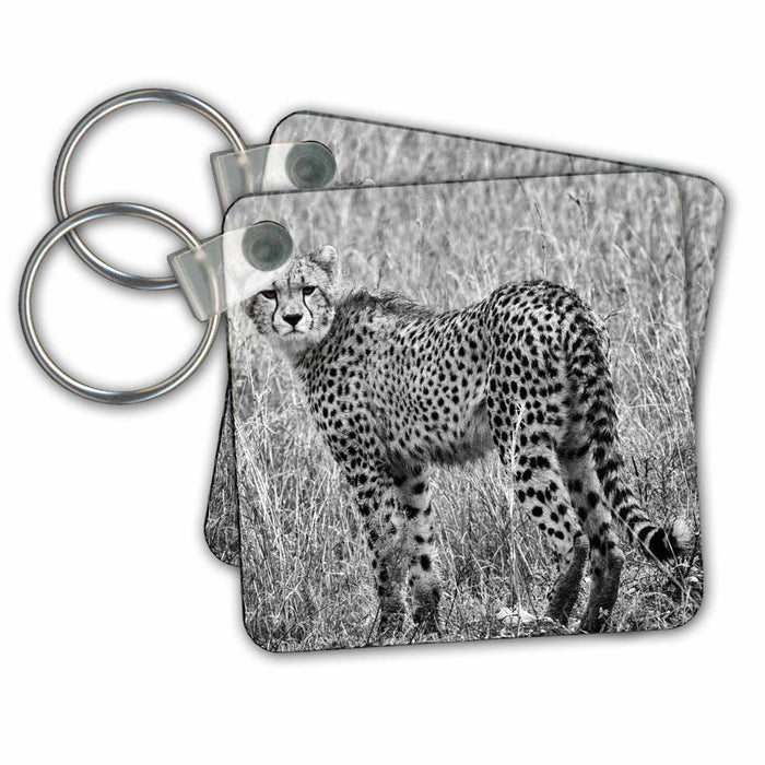 Key Chain - Cheetah black white, in grass Tanzania