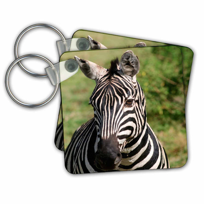 Key Chain - Zebra head shot, Tanzania Landscapes