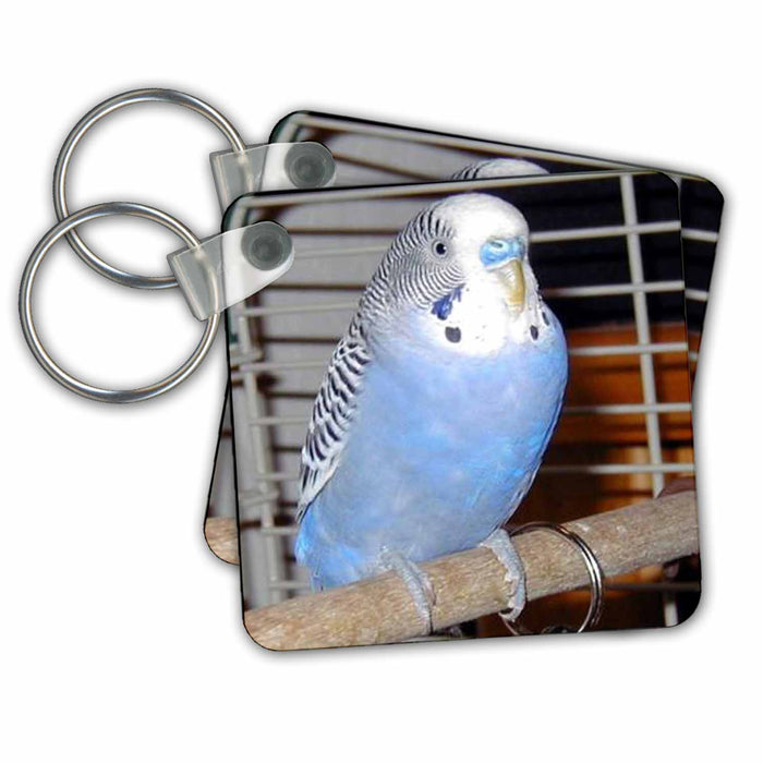 Key Chain - Blue Parakeet Birds