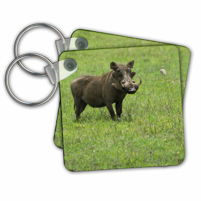 Key Chain - Warhog at the Sweetwater Reserve Animals