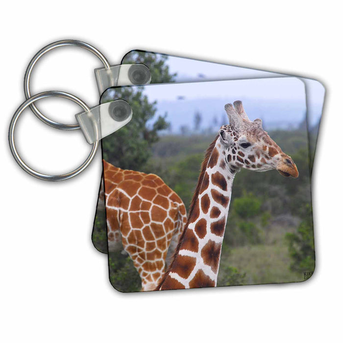 Key Chain - Giraffes at the Sweetwater Reserve 2 Animals