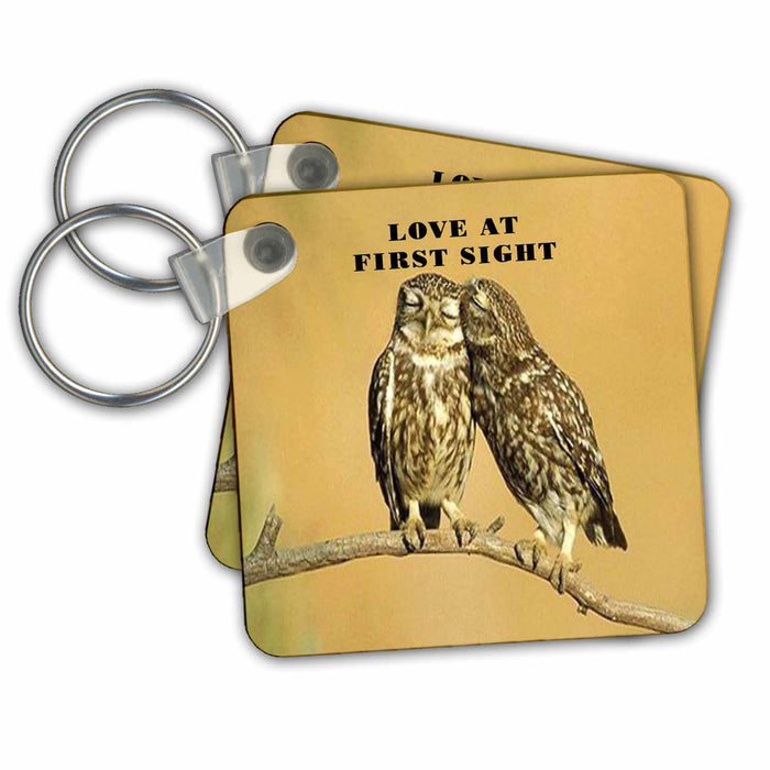 Key Chain - 2 Small Owls Say Love At First Sight.jpg Numbers Symbols And Sayings