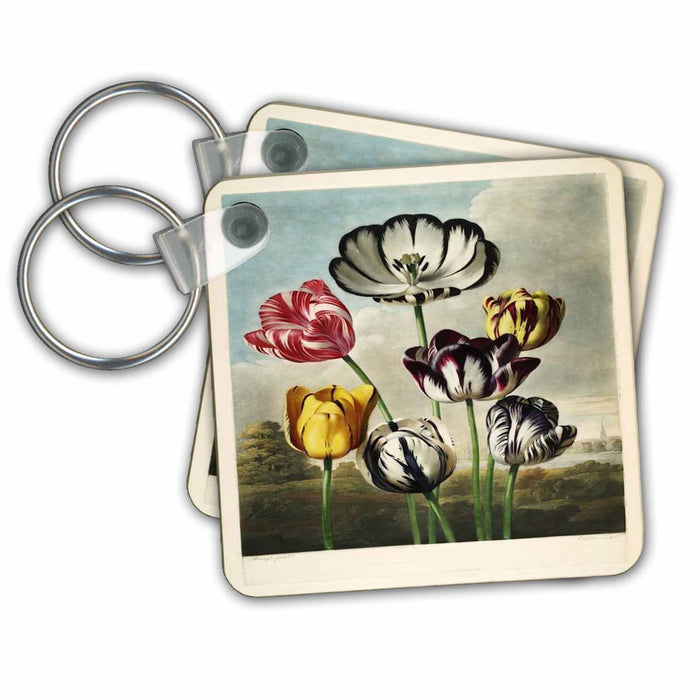 Key Chain - 1807 Vintage Tulip Painting From An Unusual Botany Book.jpg Vintage