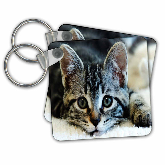 Key Chain - Cant Resist Adorable Kitten Closeup.jpg Cat