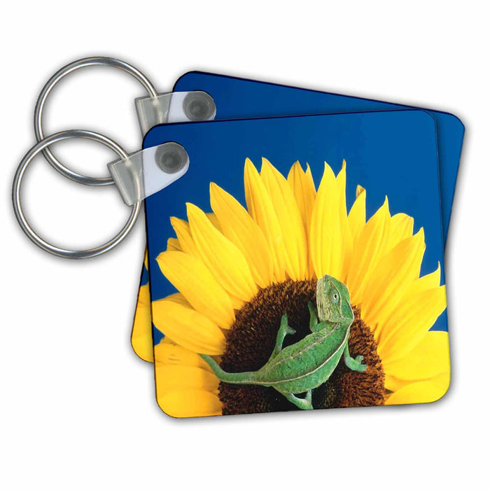 Key Chain - Closeup Of a Small Iguana On a Sunflower.jpg Nature