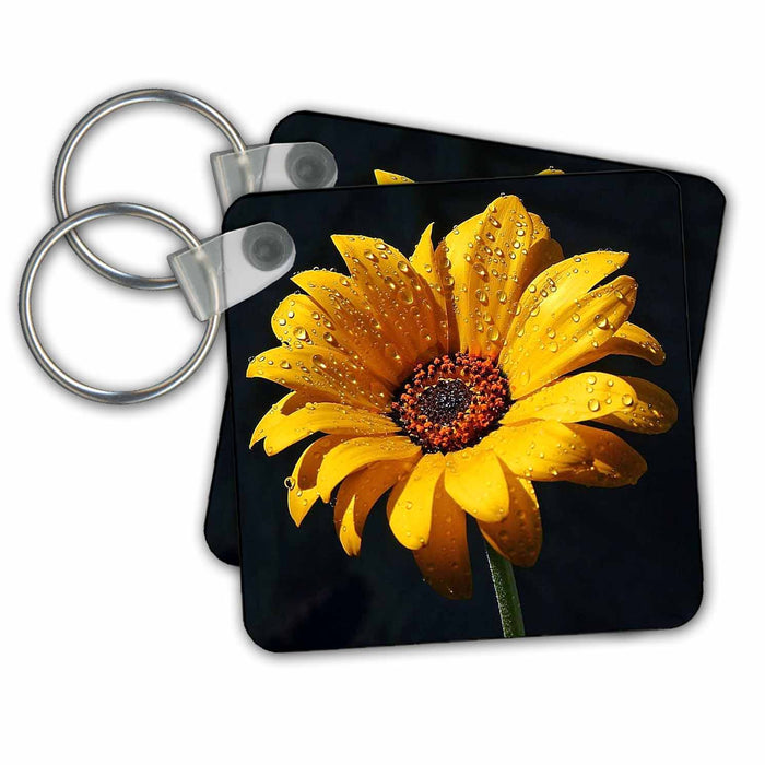 Key Chain - Dew on Sunflower Against Black Backdrop.jpg Flower