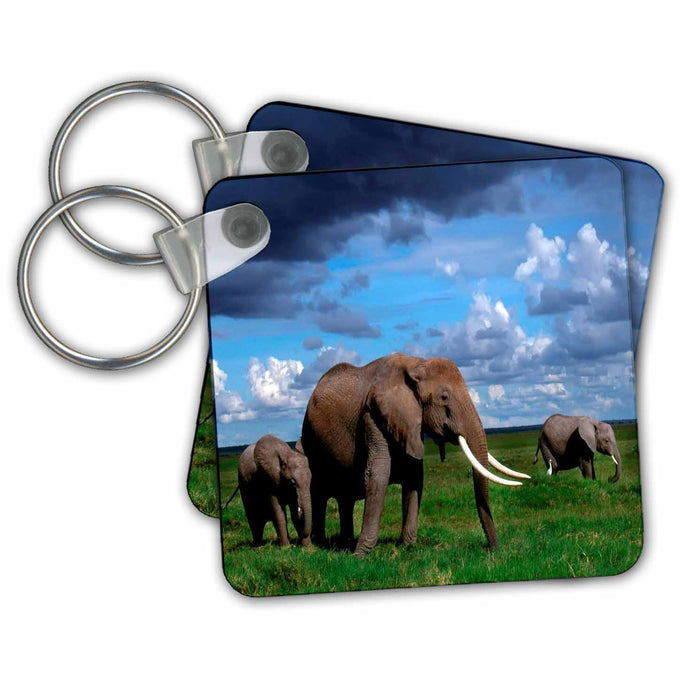 Key Chain - Elephants In Their Natural Habitat.jpg Animals