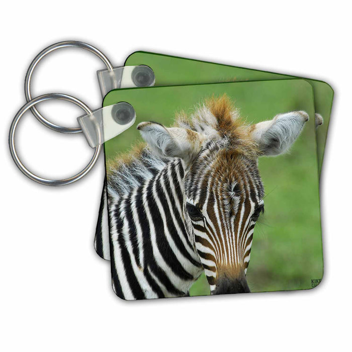 Key Chain - Common zebra Kenya Africa Animals