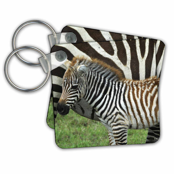 Key Chain - Common zebra Kenya Africa 2 Animals