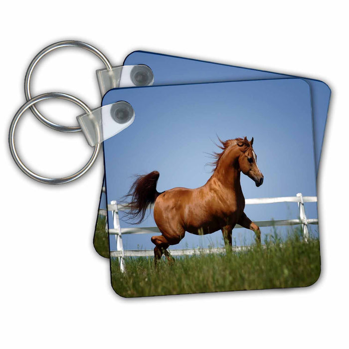 Key Chain - Photo Of Beautiful Trotting Horse.jpg Animals