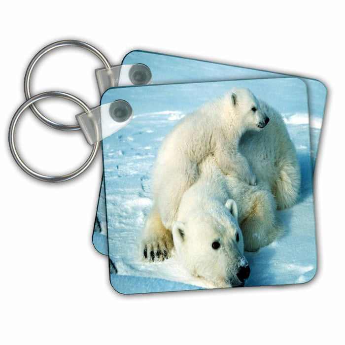 Key Chain - Playful Polar Bear n Her Mom.jpg Animals