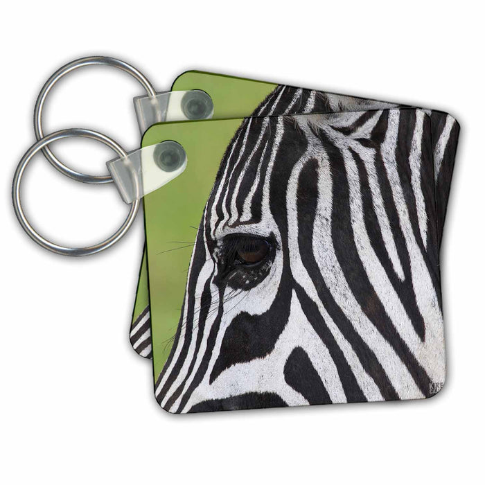 Key Chain - Detail of the head and eye of a Common zebra Animals