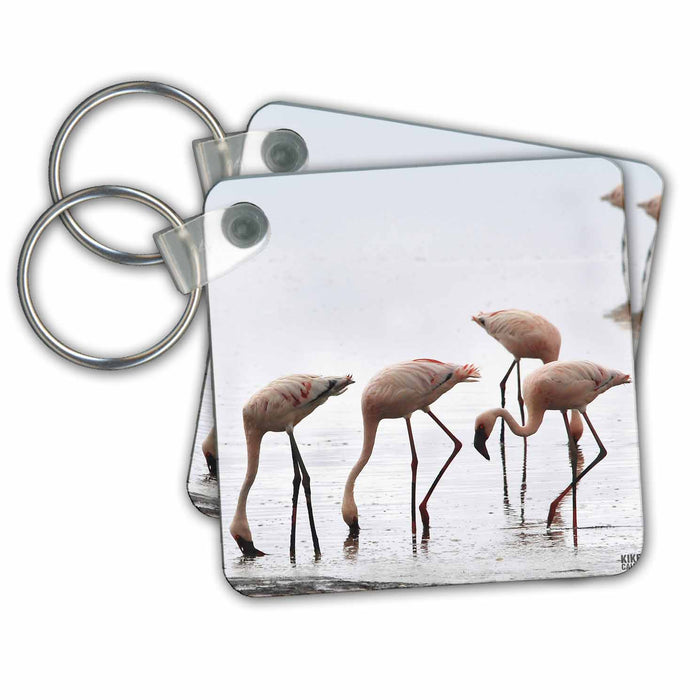 Key Chain - Flamingos pinkish tone Animals