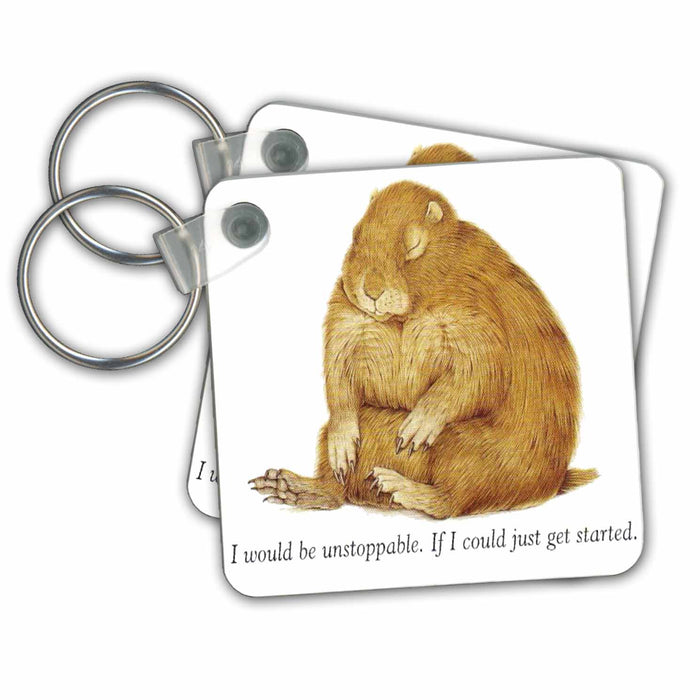 Key Chain - Adorable Hedgehog wants to be part of your new home or gift Humor