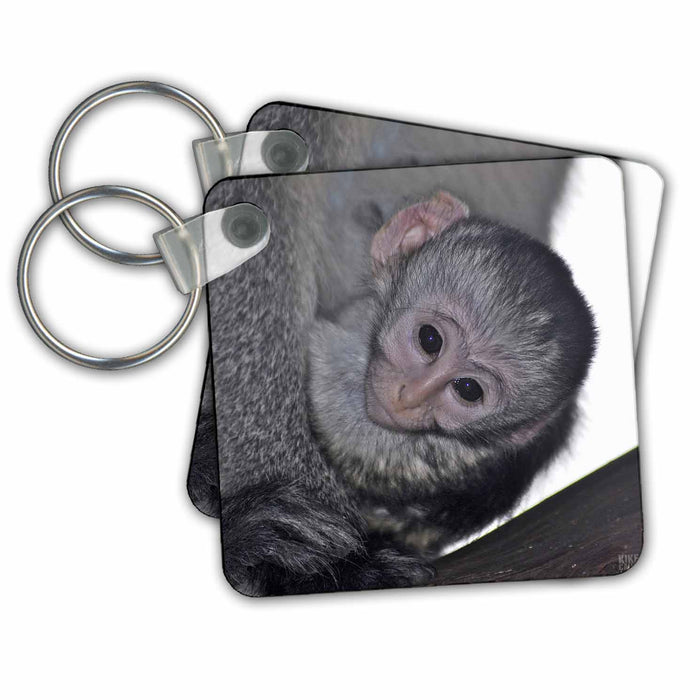 Key Chain - Black faced vervet monkey Masai Mara National Park Kenya Africa Animals