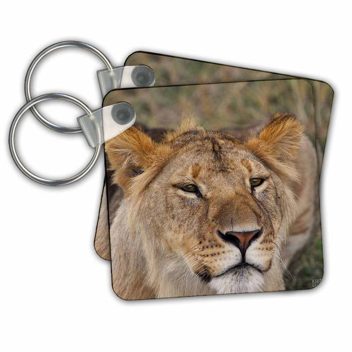 Key Chain - Lion Masai Mara National Park Kenya Africa 7 Animals