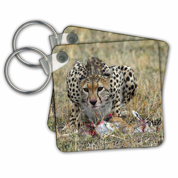 Key Chain - Cheetah feeding on a Thomsons gazelle Masai Mara National Park Animals