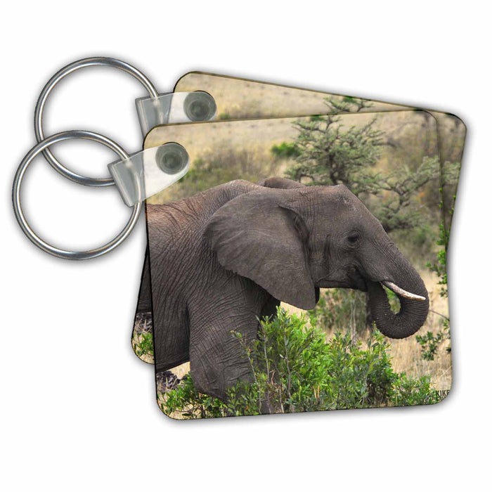 Key Chain - African elephant Masai Mara National Park Kenya Africa Animals