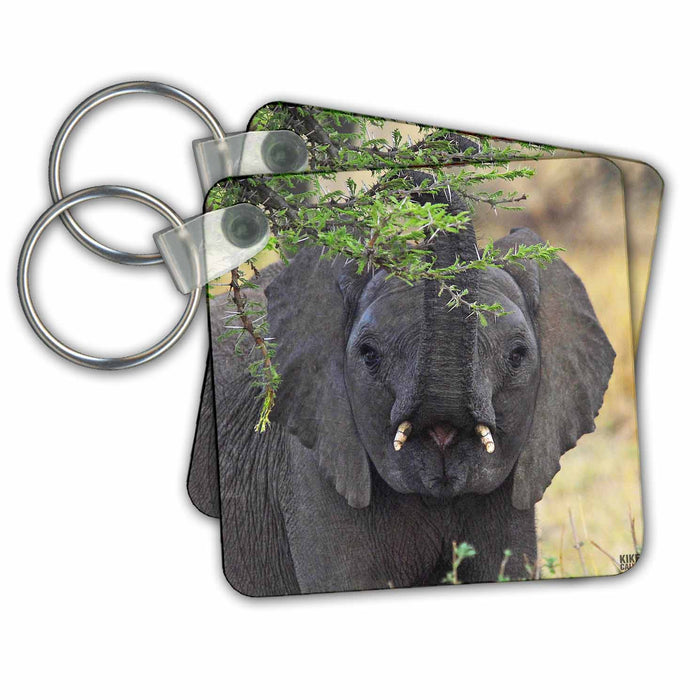 Key Chain - African elephant Masai Mara National Park Kenya Africa 2 Animals