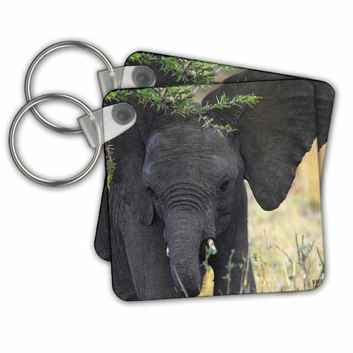 Key Chain - African elephant Masai Mara National Park Kenya Africa 3 Animals