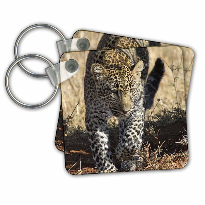 Key Chain - Leopard Masai Mara National Park Kenya Africa 3 Animals