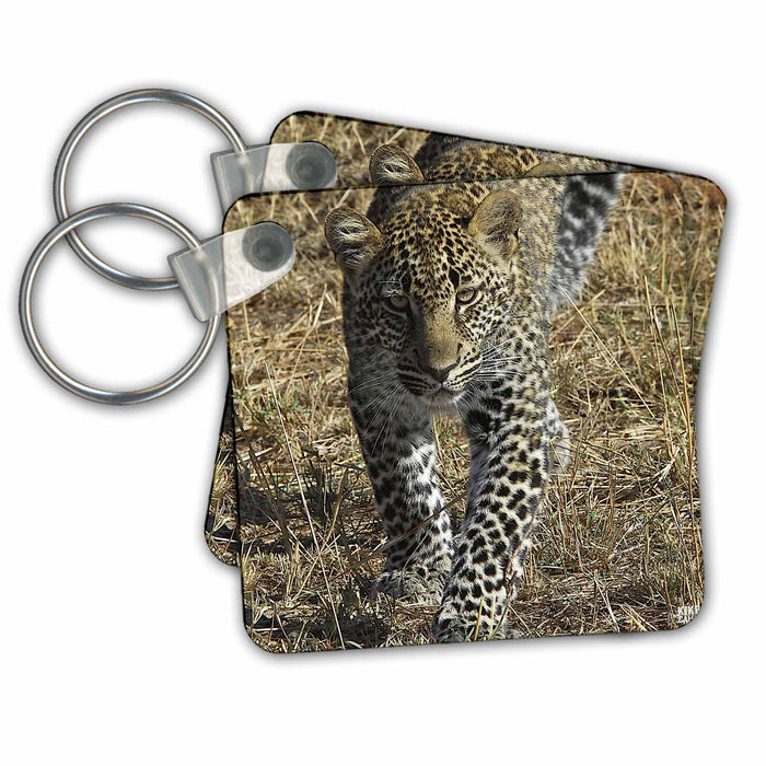 Key Chain - Leopard, Panthera pardus, Masai Mara National Park Kenya Africa Animals