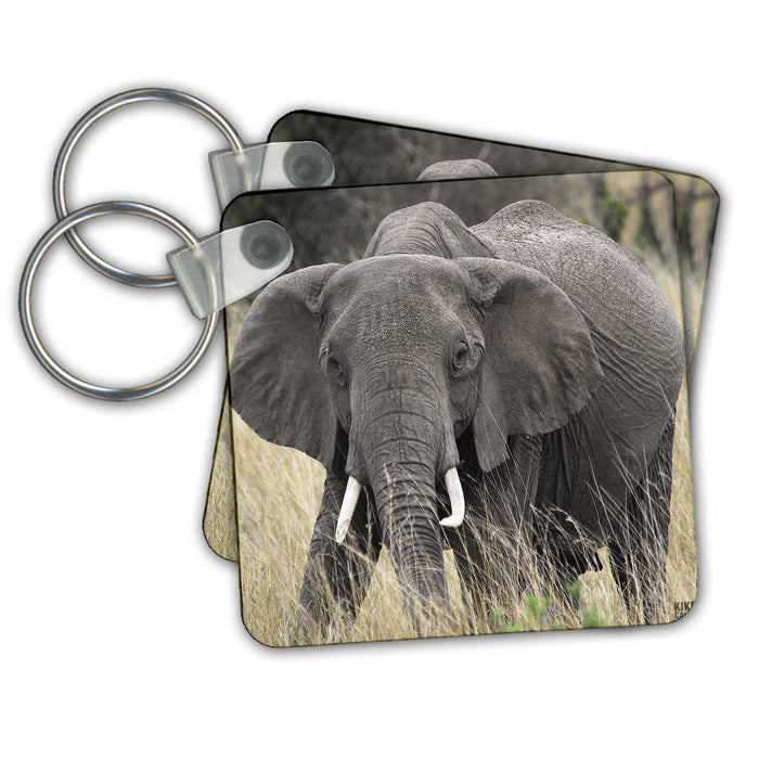 Key Chain - African elephant, Loxodonta africana, Masai Mara National Park Kenya Africa Animals