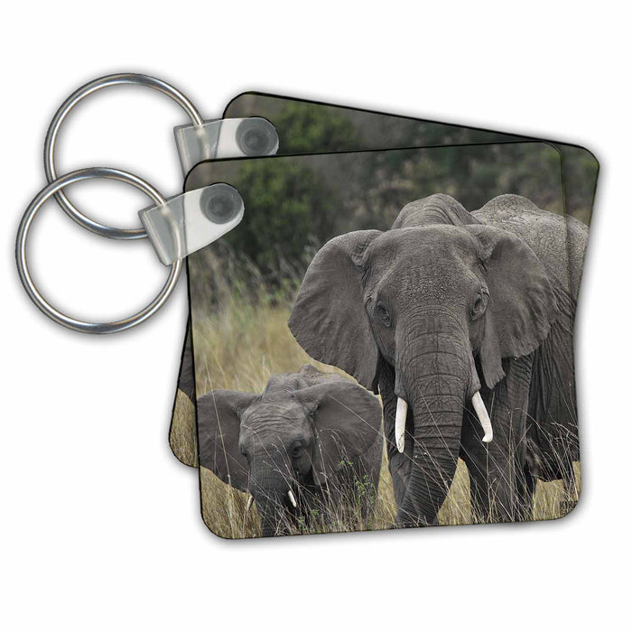 Key Chain - African elephant, Loxodonta africana, Masai Mara National Park Kenya Africa 2 Animals