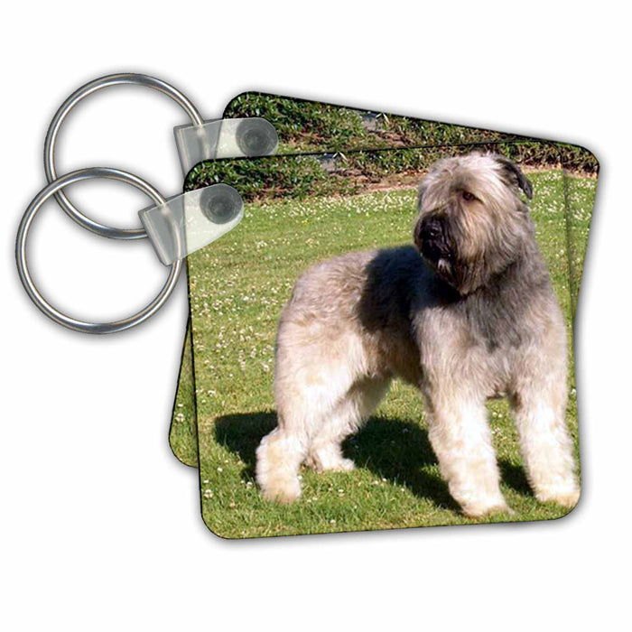 Key Chain - Bouvier Dogs Bouvier