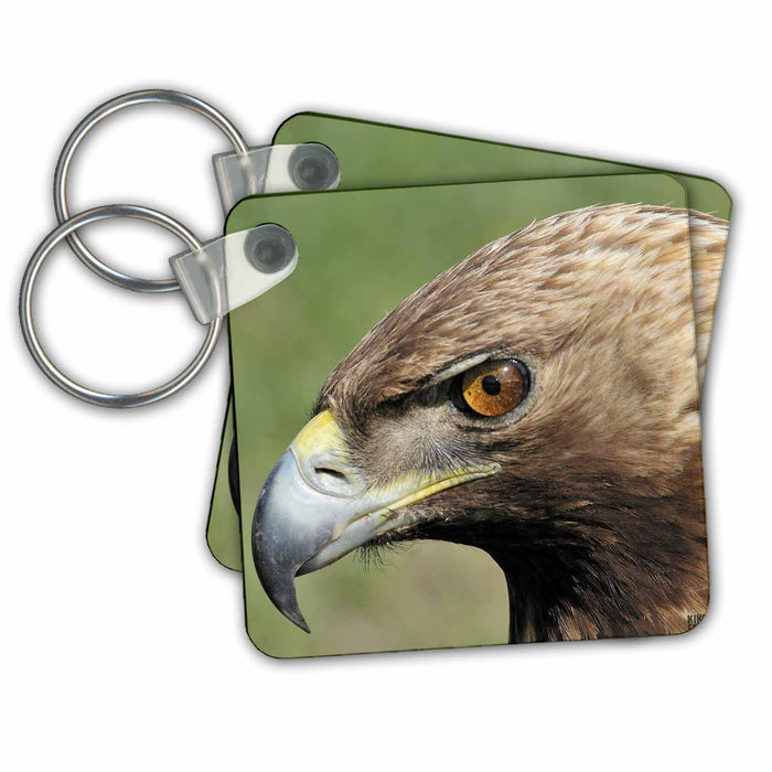 Key Chain - Golden eagle Animals