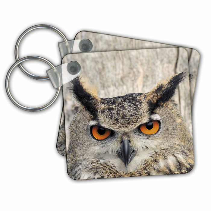 Key Chain - Eagle Owl, bubo bubo Animals