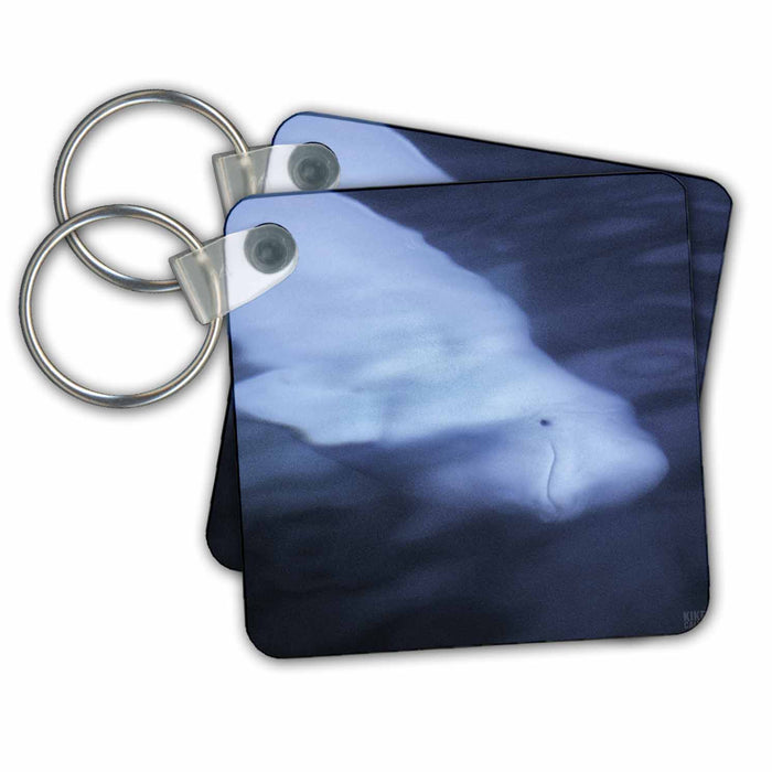 Key Chain - Wild Beluga whale or Sea Canary under the water surface looking up Animals