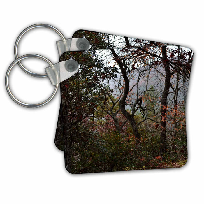 Key Chain - A different looking tree in the Mountains WhiteOak Photography Autumn Photos