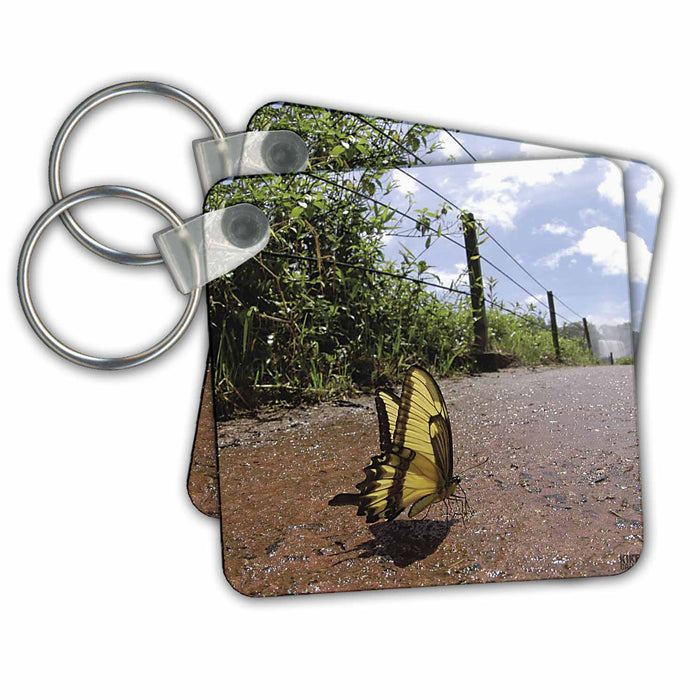 Key Chain - Butterfly drinking on the moist of the Iguazu Falls, between Brazil and Argentina Animals