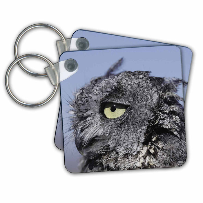 Key Chain - Western Screech Owl, Otus kennicottti Animals