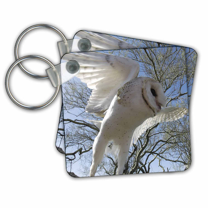 Key Chain - Barn Owl, Tyto alba, also White Night Owl Animals