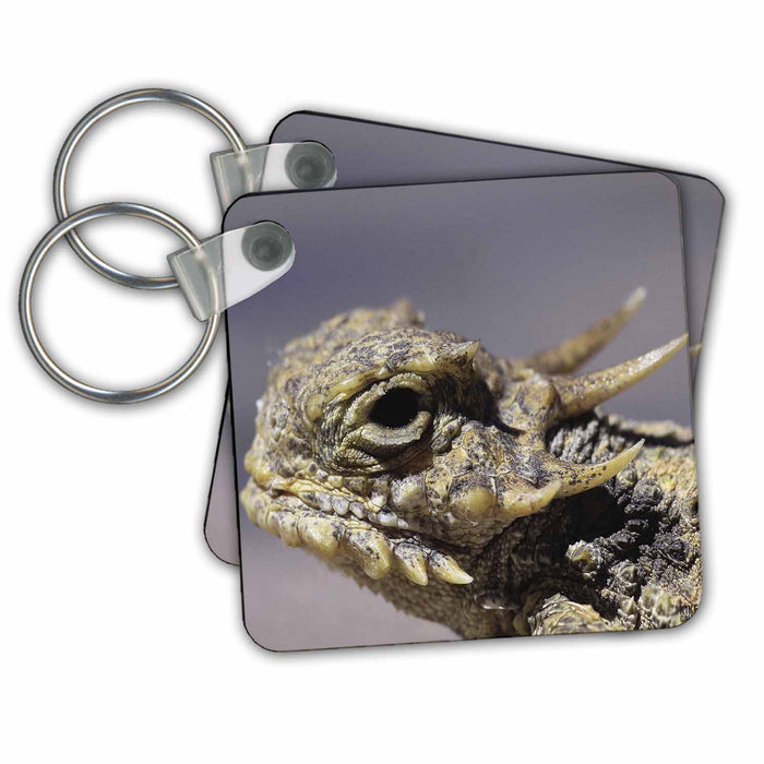 Key Chain - Flat-tailed Horned Lizard, Phrynosoma mcalli Animals