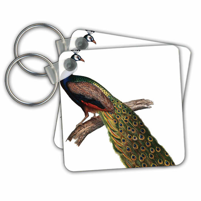 Key Chain - Beautiful Vintage Peacock- Birds PS Vintage