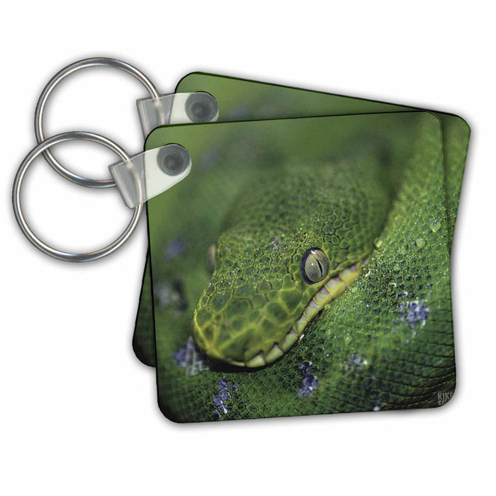 Key Chain - Emerald Tree Boa Animals