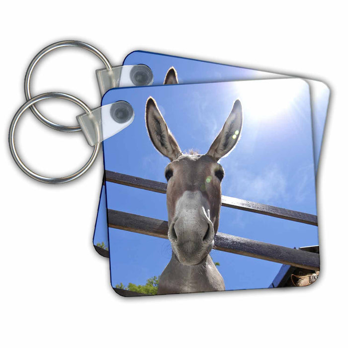 Key Chain - Donkey in a farm Animals