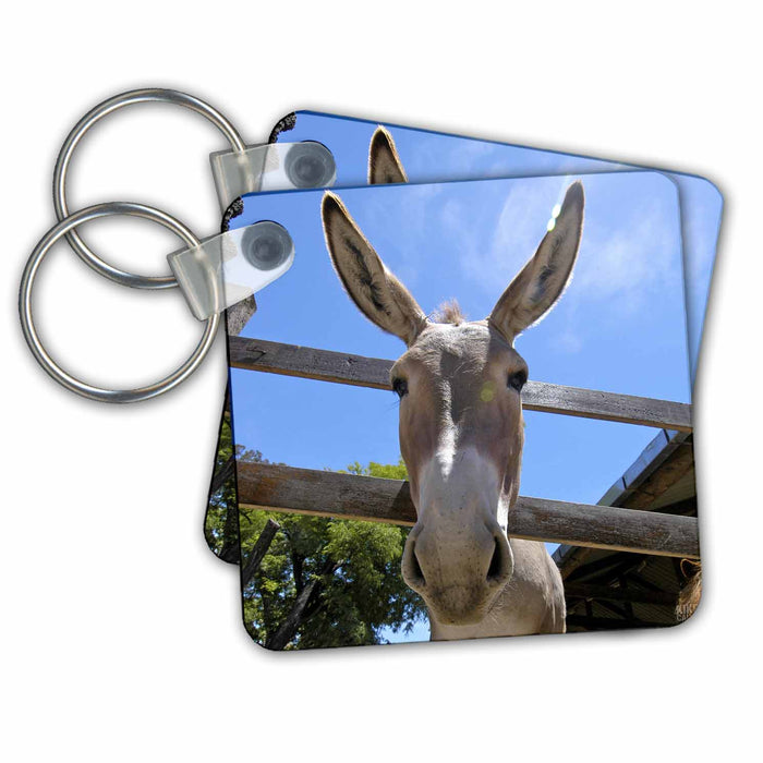 Key Chain - Donkey in a farm 2 Animals