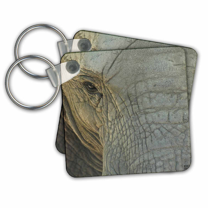 Key Chain - Elephant Animals