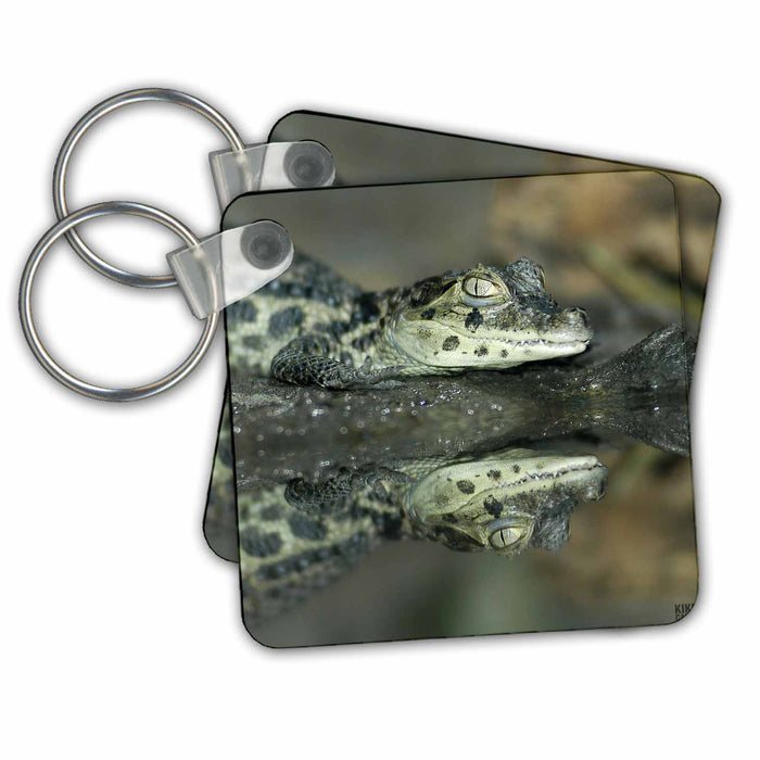 Key Chain - Baby alligator Animals