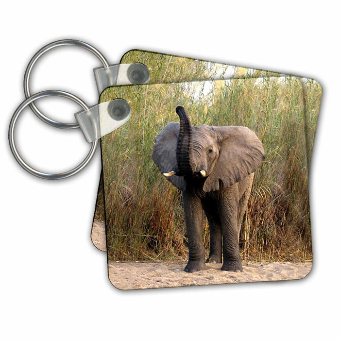 Key Chain - Elephant Wild animals