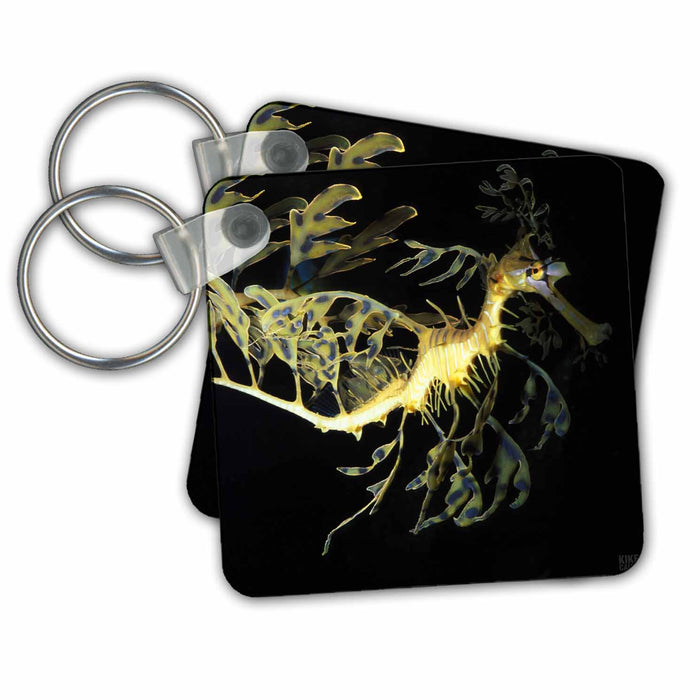 Key Chain - Leafy Sea Dragon Seahorse, Phycodurus eques, Animals