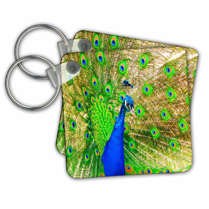 Key Chain - Brilliant colored Peacock remastered photograph Animals