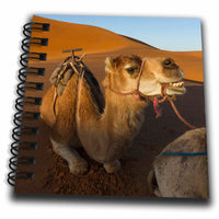 3dRose Danita Delimont - Camels - Morocco, Sahara. A Camel Appears to be Smiling on The Dunes. - Drawing Book