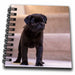 image of Mini Notepad 4 x 4 inch