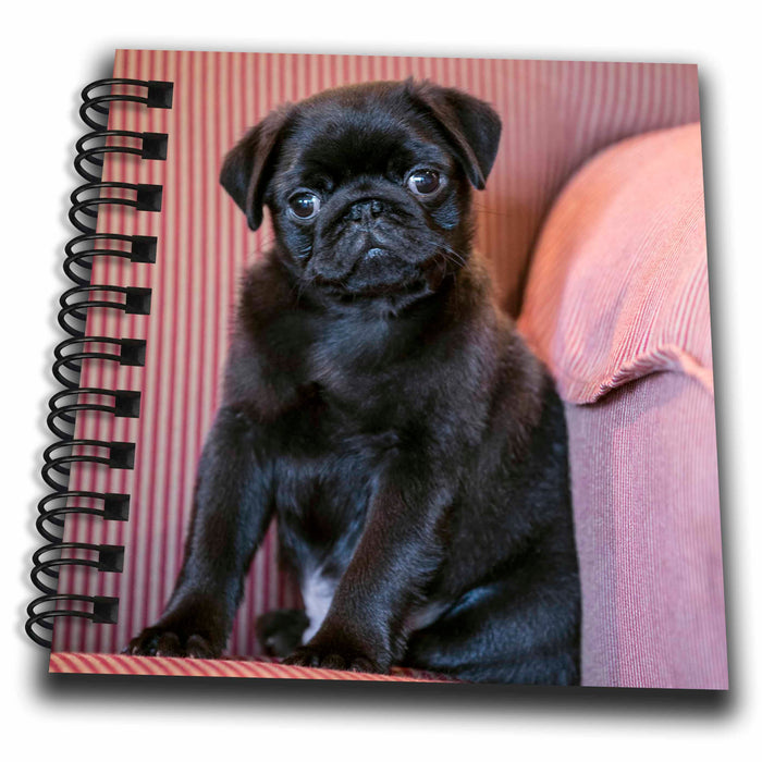 image of Mini Notepad 4 x 4 inch